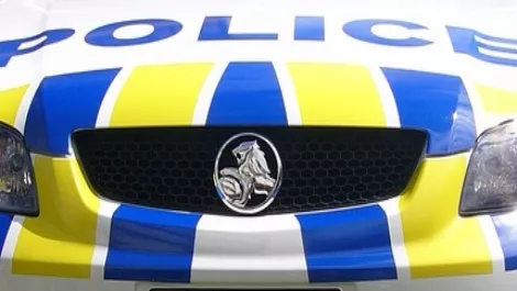 Police car front 1