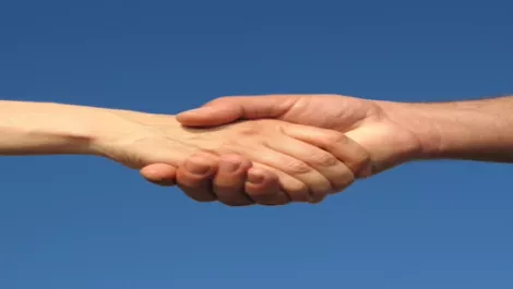 Partner up or partner out as programmes evolve