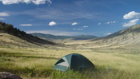 IBM launches SmartCamp for ANZ entrepreneurs