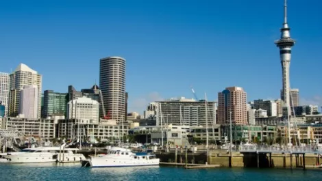 Auckland harbour