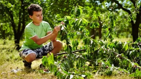 Sustainable Farming Fund backs web-based education