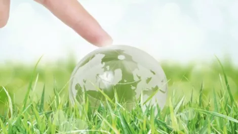 Ricoh Australia reduces carbon footprint