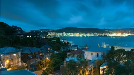 Wellington night