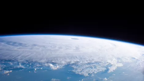 Globe