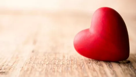 Heart