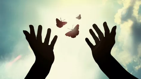 Digital Commons' media solutions 'off to a flying start'