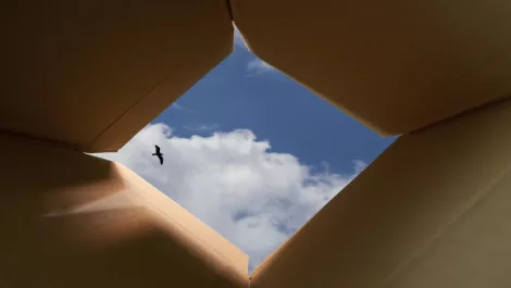 Avondale College thinks outside the box with innovation programme