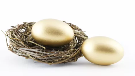 Thinkstockphotos 120263031