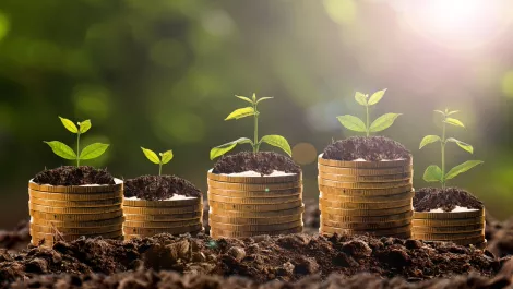Thinkstockphotos 510640972