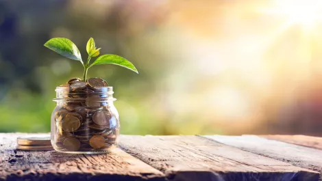 Thinkstockphotos 505872010 3