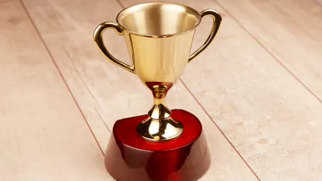 Capgemini top new APAC partner at MuleSoft global awards