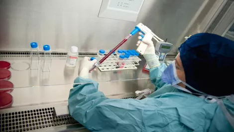 Finalists announced for KiwiNet Research Commercialisation Awards
