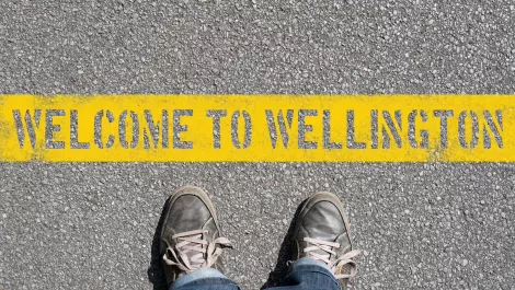 Mimicry Tech the first Southland team in  Mahuki innovation accelerator