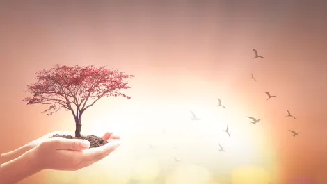 Thinkstockphotos 1048064032