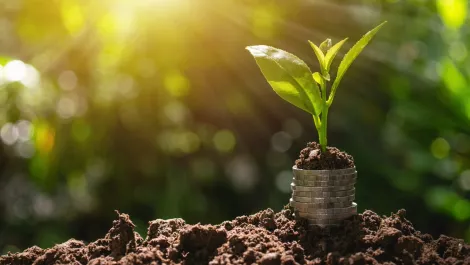 Gettyimages 1022673394