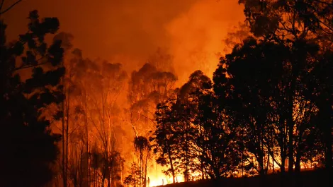 South Australian map technology supporting Kangaroo Island bushfire efforts