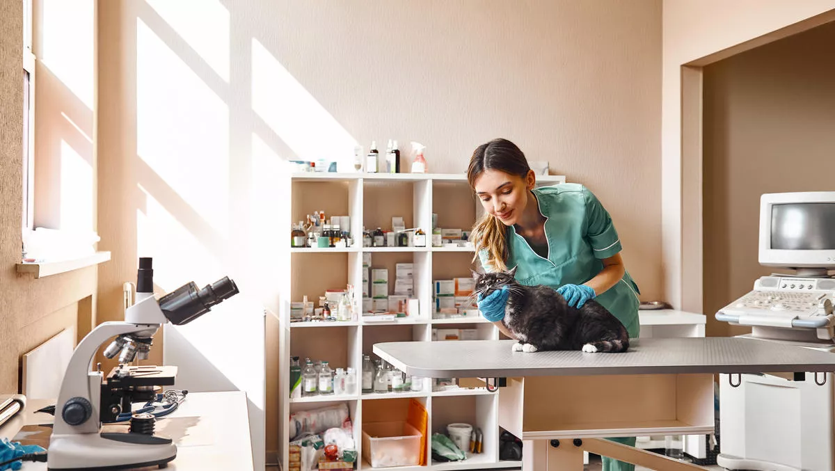 Vet CX chooses MaxContact to improve customer experience