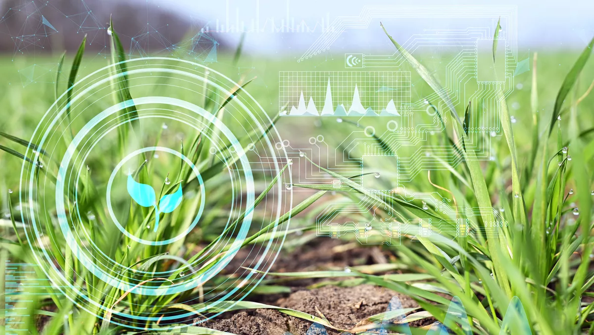 NZ Govt backs new data-driven forecasting tool for agriculture sector