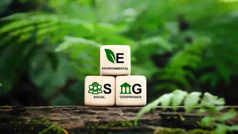 Siemon esg