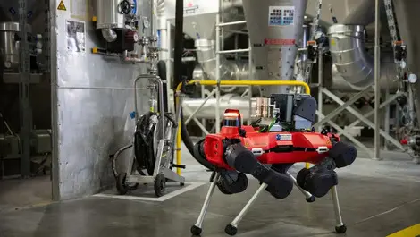 Anymal gas leak detection in the field